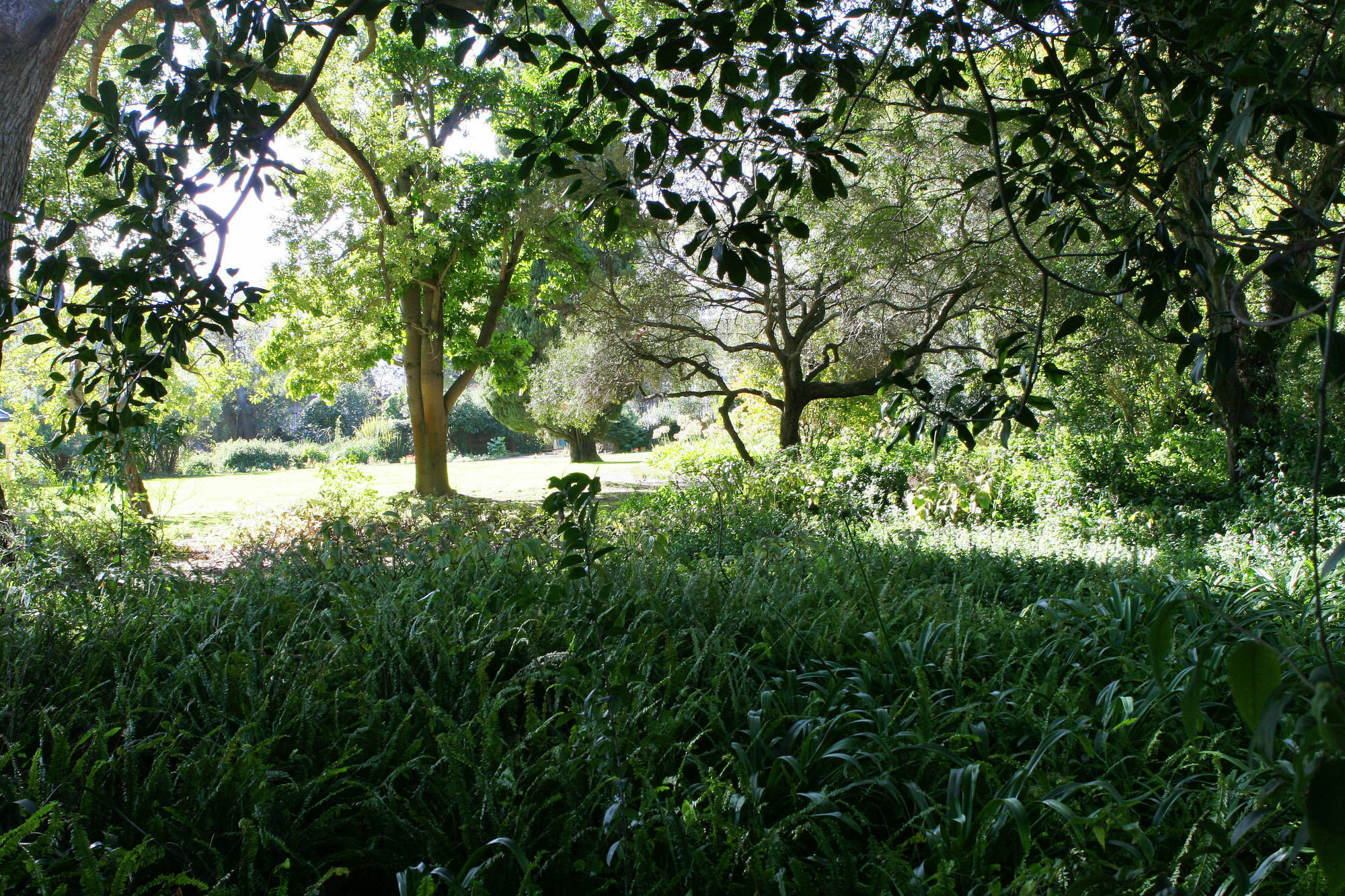 Avemore Wag N Bietjie No 1 Stellenbosch Exterior photo