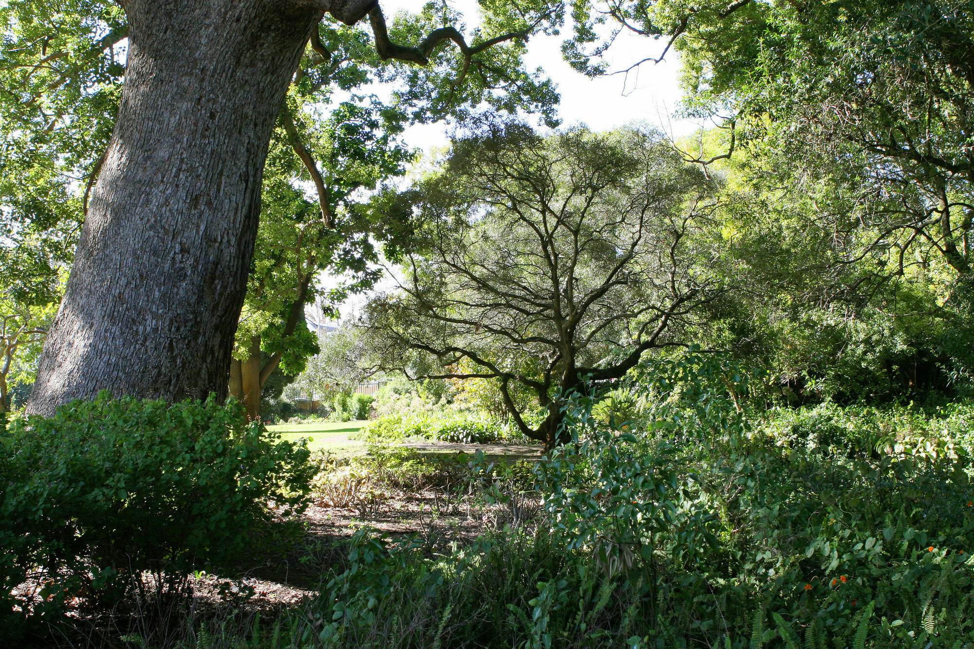 Avemore Wag N Bietjie No 1 Stellenbosch Exterior photo
